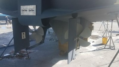 DOG'S LIFE 3 7300543_20191204095623072_1_XLARGE