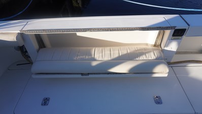 Sea Ray 340 Amberjack 46 