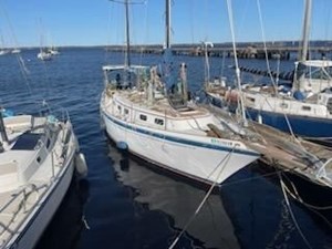 1981 Allied Mistress Mk III  3 
