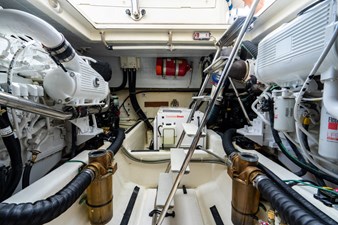 SALTY DOG 9 DSC07012