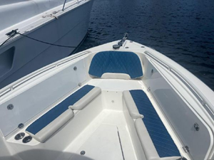 2009 Everglades 290 Center Console 21 22