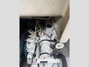 Topless 31 