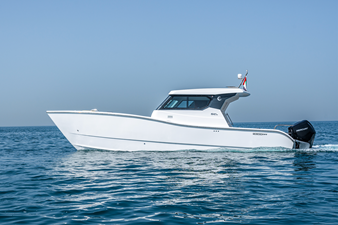 #1  SILVERCAT 34HT 16 