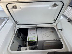 Stray Cats 16 Lagoon-450 16