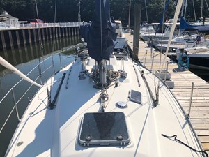 Sea Salt 26 