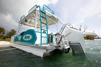 Aloha Paradise 11 