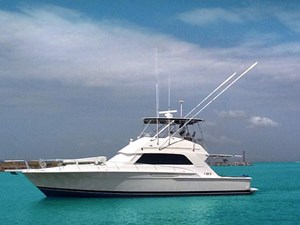 CONQUISTADORA 0 c15fe686-91c1-4ec9-baa8-05258b7ef379