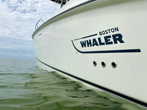 2007 Boston Whaler 240 Outrage 14 15