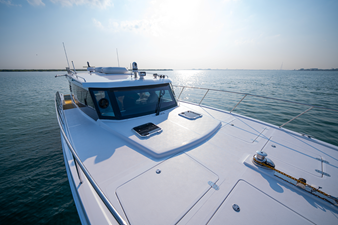 #2 SILVERCAT 46LUX 37 