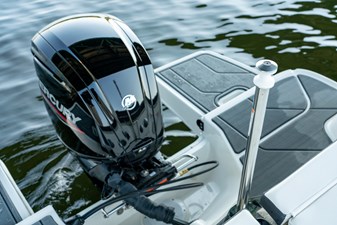 Bayliner DX2000 10 