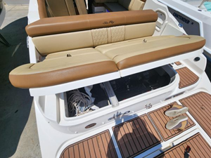 2015 Sea Ray 270 Sundeck 19 20