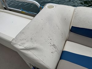 02 Bennington 257L Pontoon NLSQ 41 