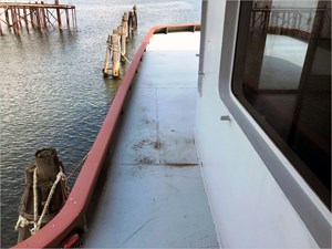 SEA MONSTER 3 YS210144_03