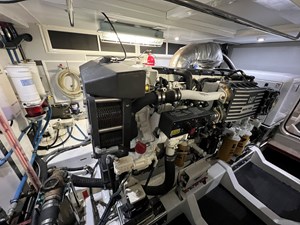 Bucephalus 41 IMG_5360