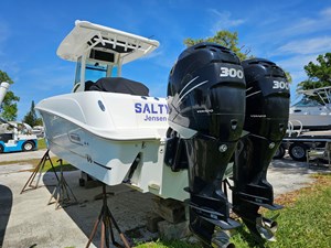 Salty Frog 8 