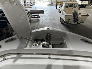 2024 Blackfin 302CC 45 