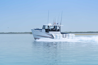 SILVERCAT 40CC 32 