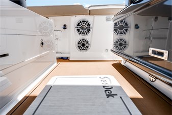 Shine V 34 JL Audio Speakers