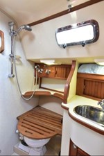 Compass Rose 31 