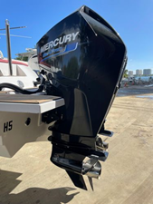 2022 Rib 30 46 46