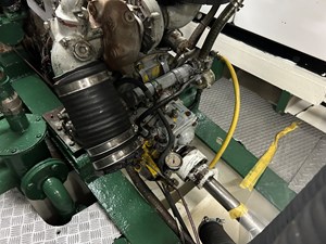 IRIS 60 IMG_0982