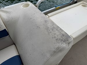 02 Bennington 257L Pontoon NLSQ 37 