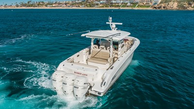Robin Ann 46 