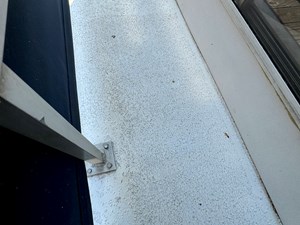 Dragonfly Chaser 116 