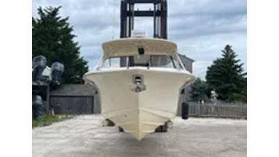 2019 Scout 255 Dorado 2 