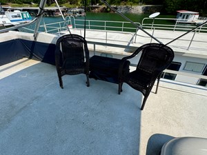 Dragonfly Chaser 101 