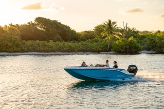 Bayliner M17 6 