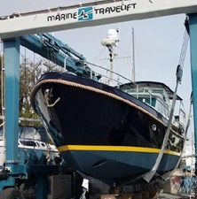 DOG'S LIFE 2 7300543_20191227094504761_1_XLARGE