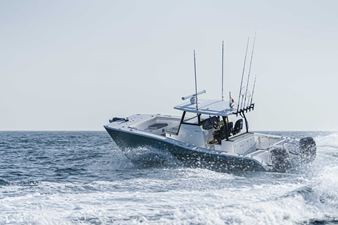 SILVERCAT 34CC 13 