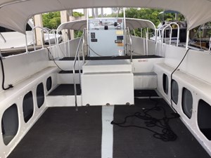 White Seal 8 7_IMG_0330