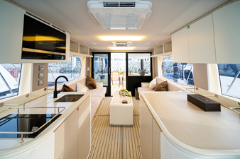 #2 SILVERCAT 46LUX 12 