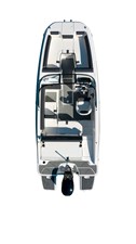 Bayliner DX2000 21 