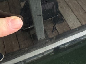 024 Yamaha 252SD NLNL 124 