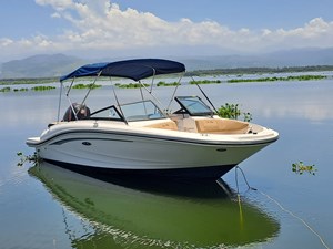 2021 Sea Ray 190 SPX OB @Acapulco 2 