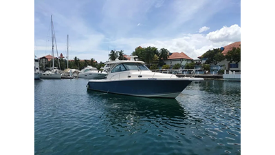 2012 Pursuit OS 385 Conquest 6 