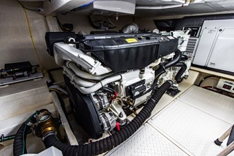 Irish Lady 107 4L4A8900