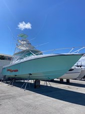 SUN SCREAM 33 IMG_5339