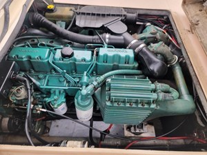 Bay Rat II 40 