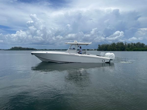Shellyfish 4 5