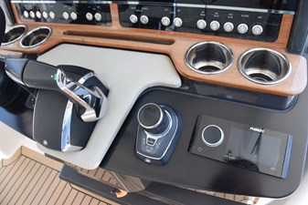 ERIKA RAY 34 Joystick control with Skyhook feature  