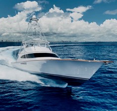 ARTEMIS 49 IMG_4675