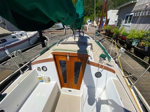 PURA VIDA 4 