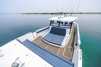 SILVERCAT 40CC 20 