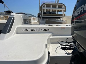 just one snook 3 