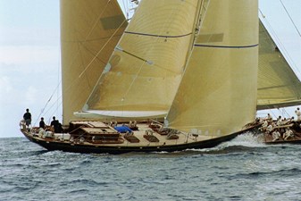 Braveheart of Sark 10 BRAVEHEART VELSHEDA advertfoto