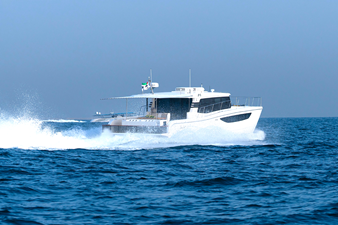 #2 SILVERCAT 46LUX 50 